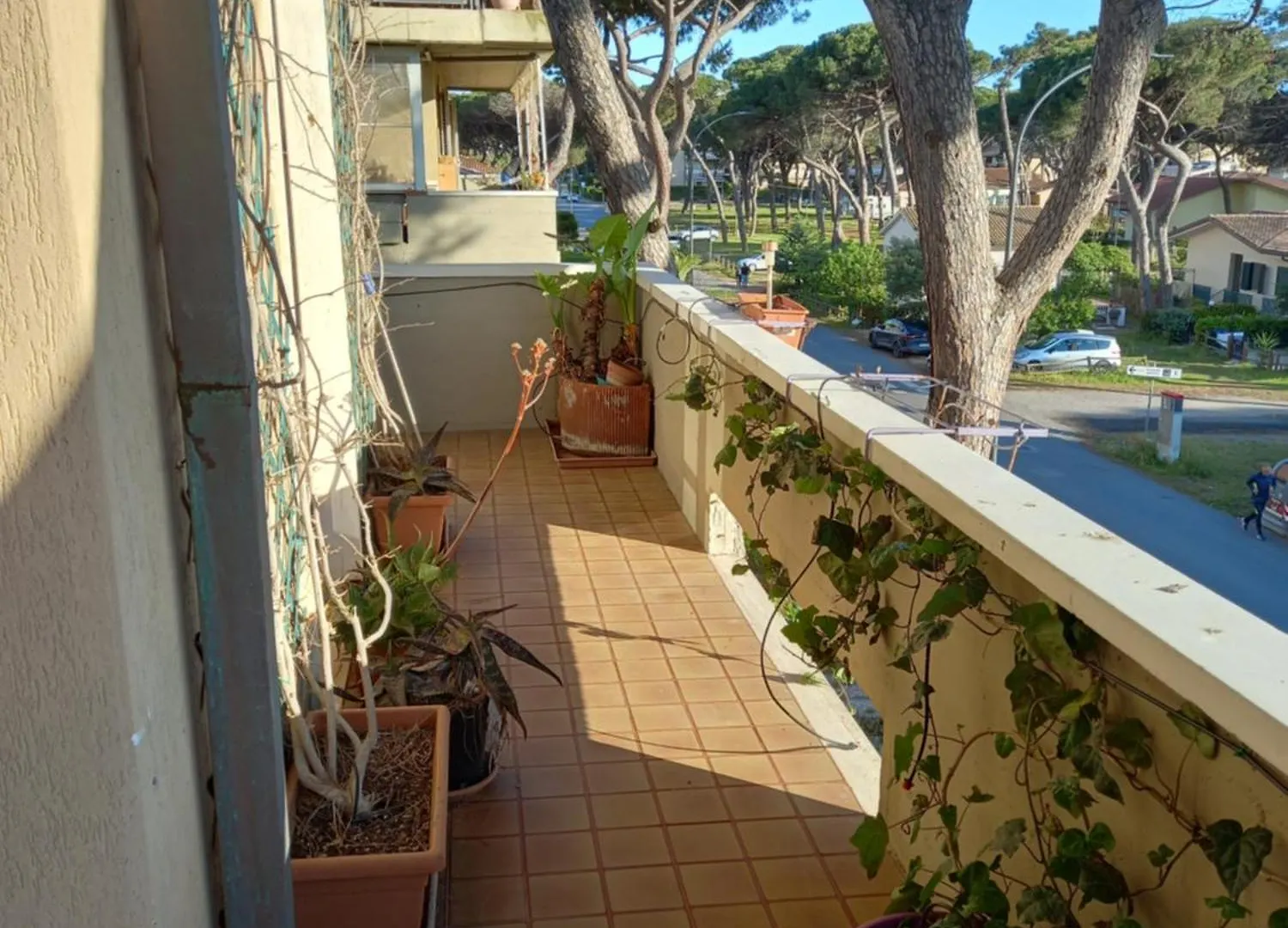 Via Del Tombolo Apartment Grosseto